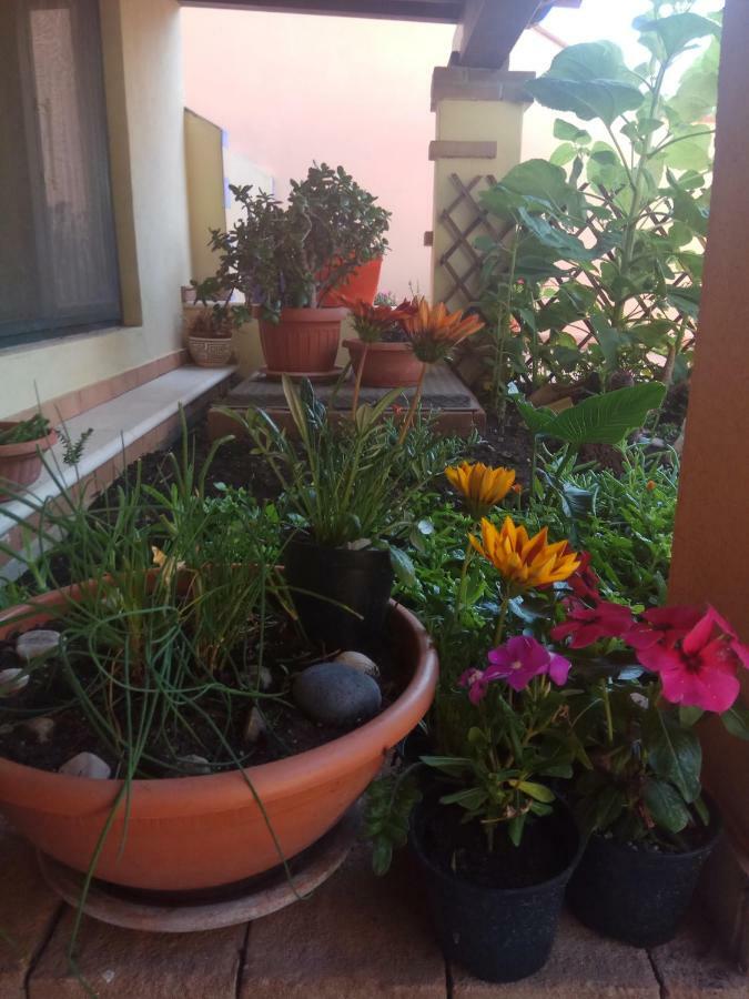 Appartamento In Zona Residenziale 奥罗塞伊 外观 照片